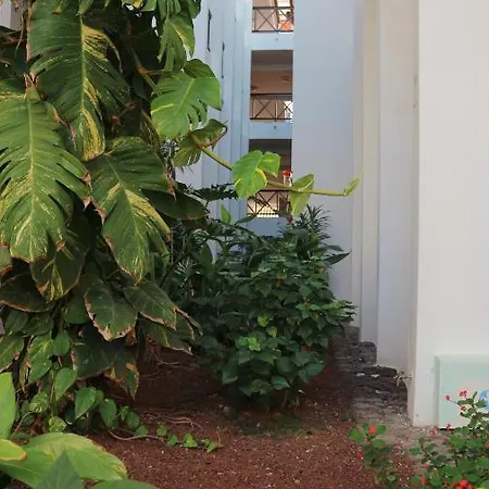En Tenerife Sur, Parque Santiago 2 Apartment Arona (Tenerife)
