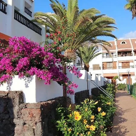 En Tenerife Sur, Parque Santiago 2 * Arona (Tenerife)