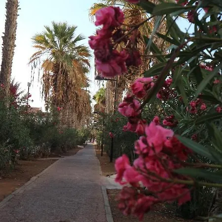 En Tenerife Sur, Parque Santiago 2 Arona (Tenerife)